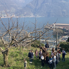 IMG 4072