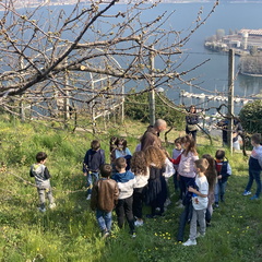 IMG 4073