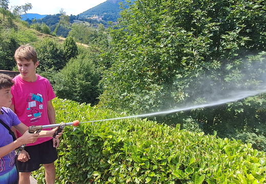IMG-20250712-WA0020