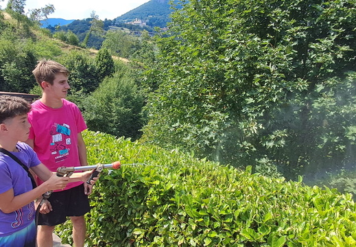 IMG-20250712-WA0019