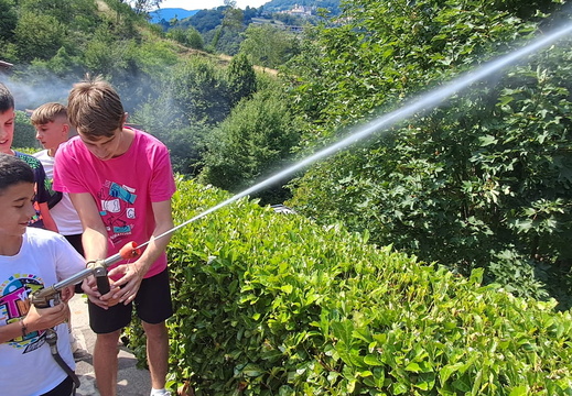 IMG-20250712-WA0021